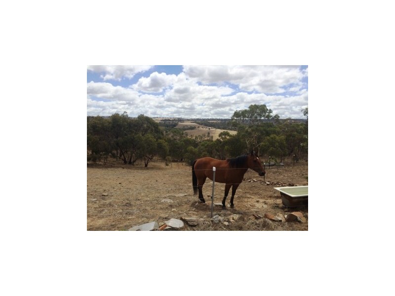 200 Scrubby Hill Road, Highland Valley SA 5255