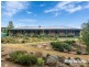19 Thornbill Drive, Mount Barker SA 5251