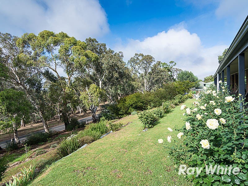 19 Thornbill Drive, Mount Barker SA 5251