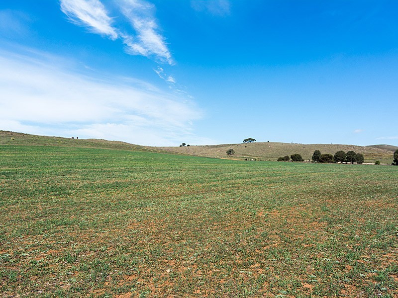 1090 Back Callington Road, Callington SA 5254