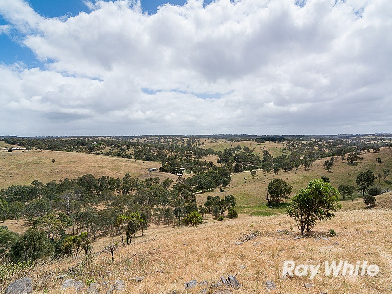 200 Scrubby Hill Road, Wistow SA 5251