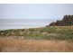 Lot 19 The Esplanade, Wirrina Cove SA 5204