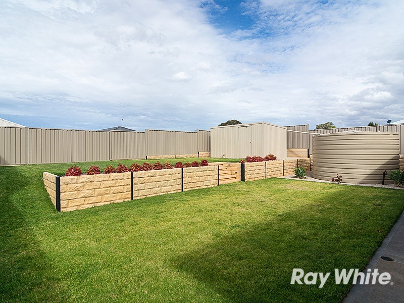 13 Charbray Court, Mount Barker SA 5251
