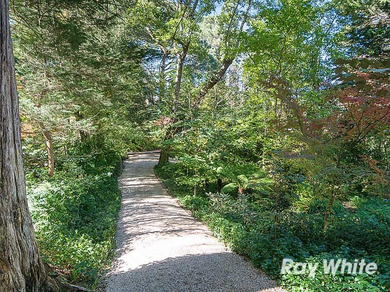 25 Birch Road, Stirling SA 5152