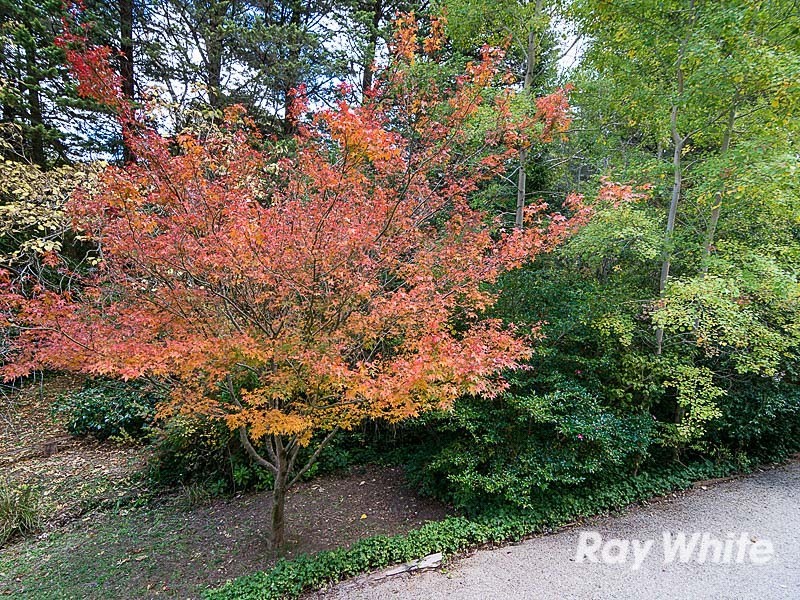 25 Birch Road, Stirling SA 5152