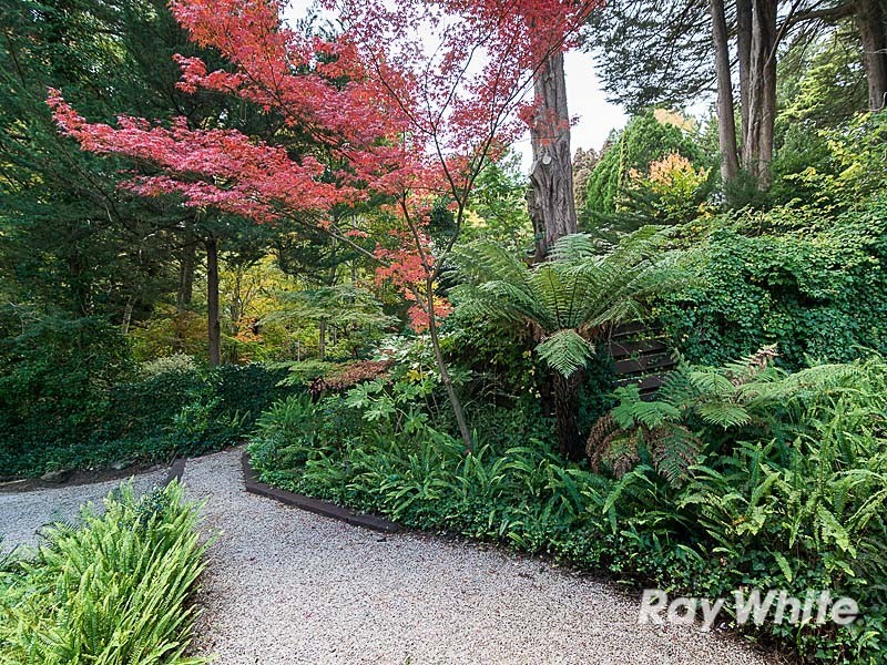 25 Birch Road, Stirling SA 5152