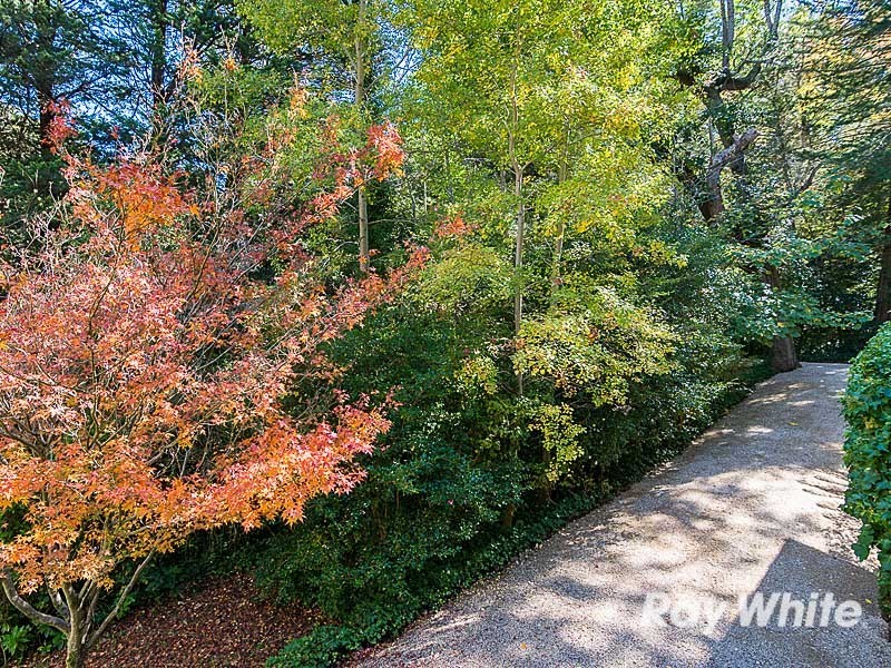 25 Birch Road, Stirling SA 5152