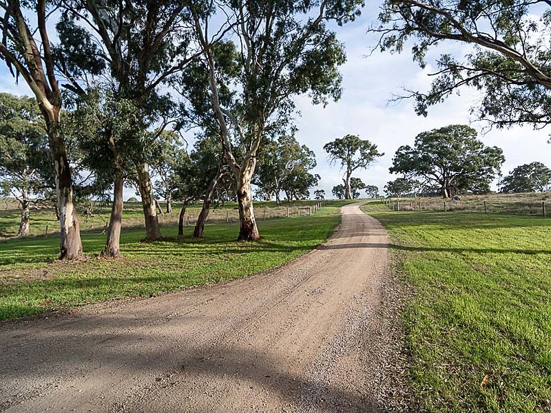 69 Petwood Road, Nairne SA 5252