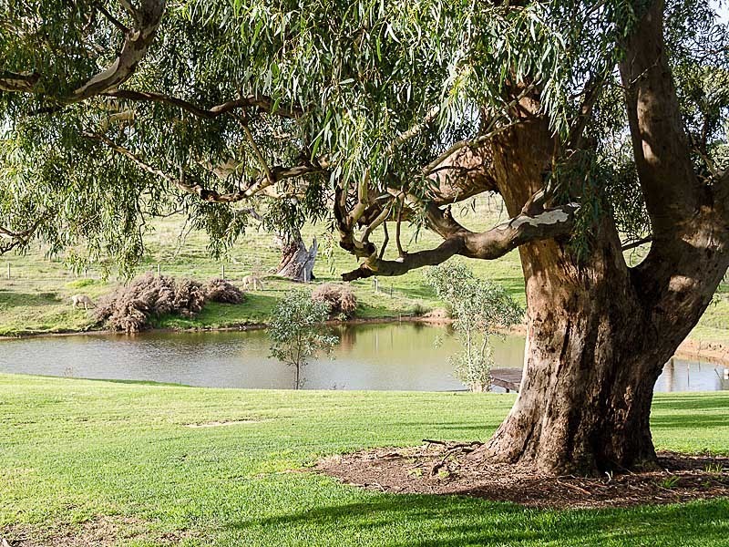 69 Petwood Road, Nairne SA 5252