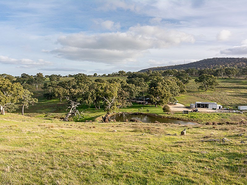 69 Petwood Road, Nairne SA 5252