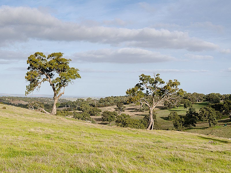 69 Petwood Road, Nairne SA 5252