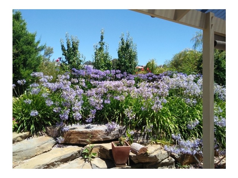 4 London Court, Mount Barker SA 5251