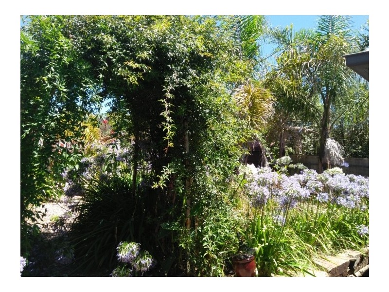 4 London Court, Mount Barker SA 5251