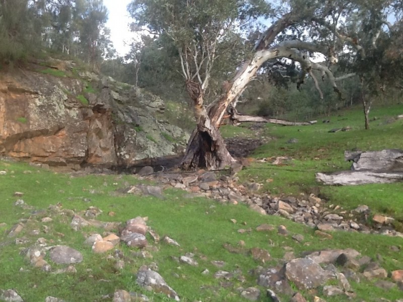 335 Archer Hill Road, Wistow SA 5251