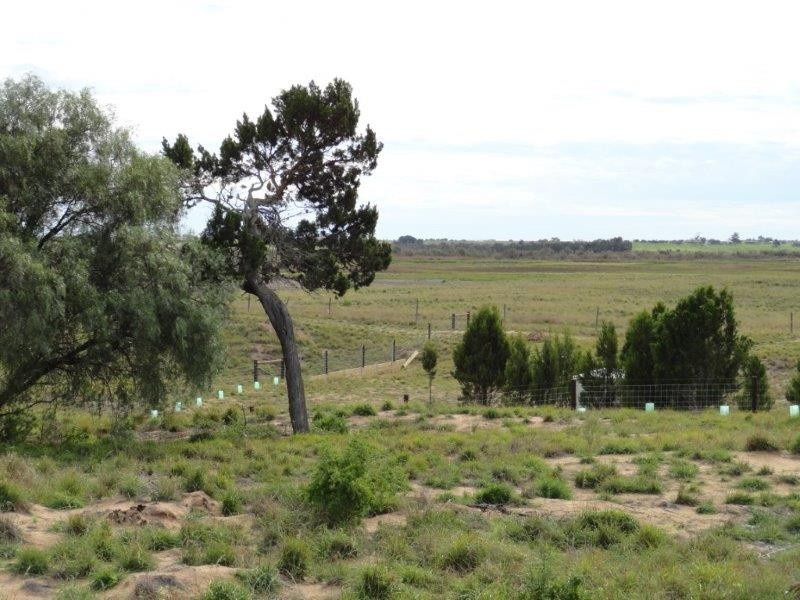 Lot 708 Wellington Shores, Wellington East SA 5259