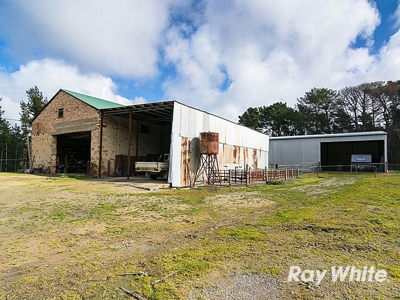 91 Ostigh Road, Carey Gully SA 5144