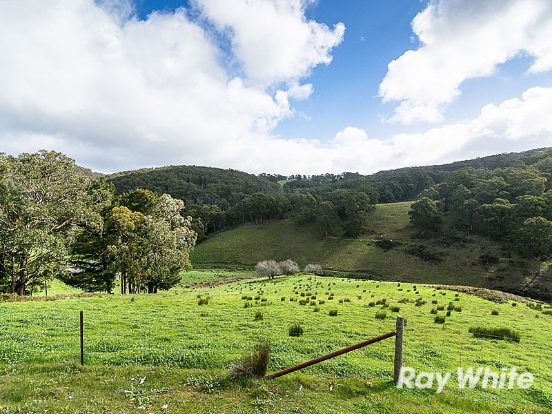 91 Ostigh Road, Carey Gully SA 5144