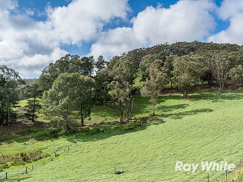 91 Ostigh Road, Carey Gully SA 5144