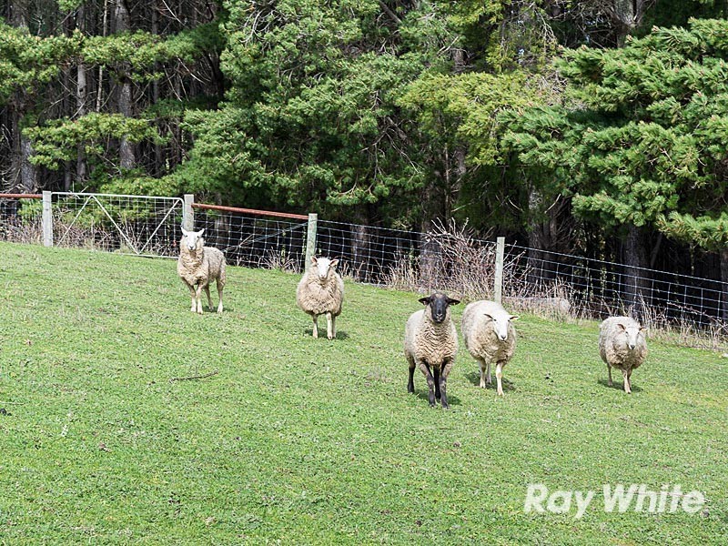 91 Ostigh Road, Carey Gully SA 5144