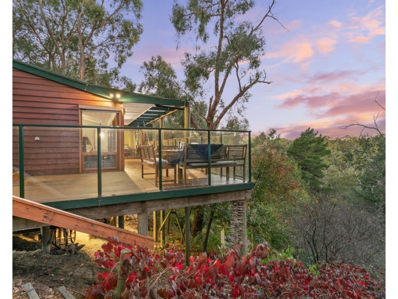 16 Elmstead Drive, Upper Sturt SA 5156