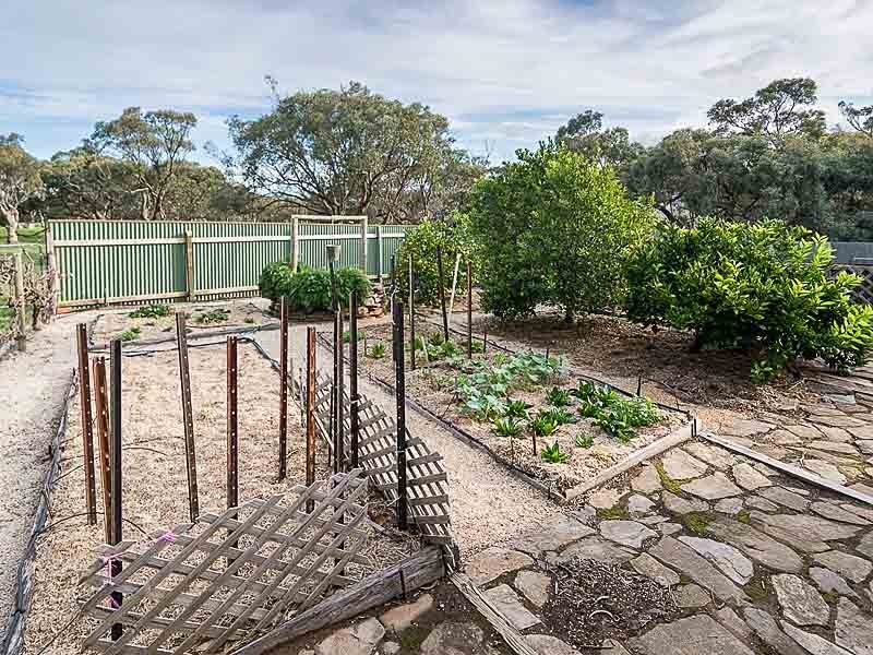 262 Scrubby Hill Road, Highland Valley SA 5255