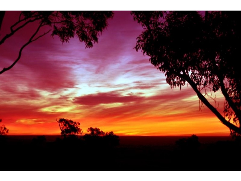 262 Scrubby Hill Road, Highland Valley SA 5255