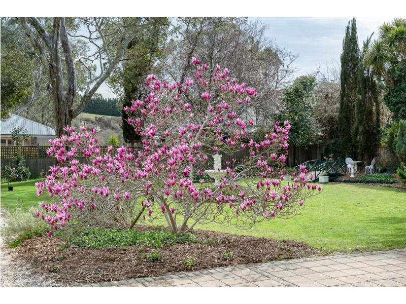 127 Onkaparinga Valley Road, Balhannah SA 5242