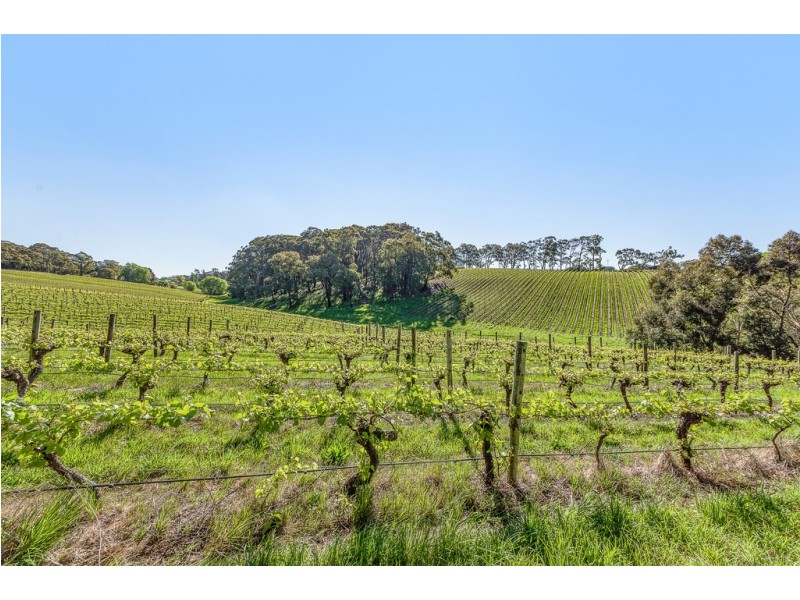 13 Tregarthen Road, Summertown SA 5141