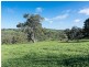 542 Springs Road, Mount Barker Springs SA 5251