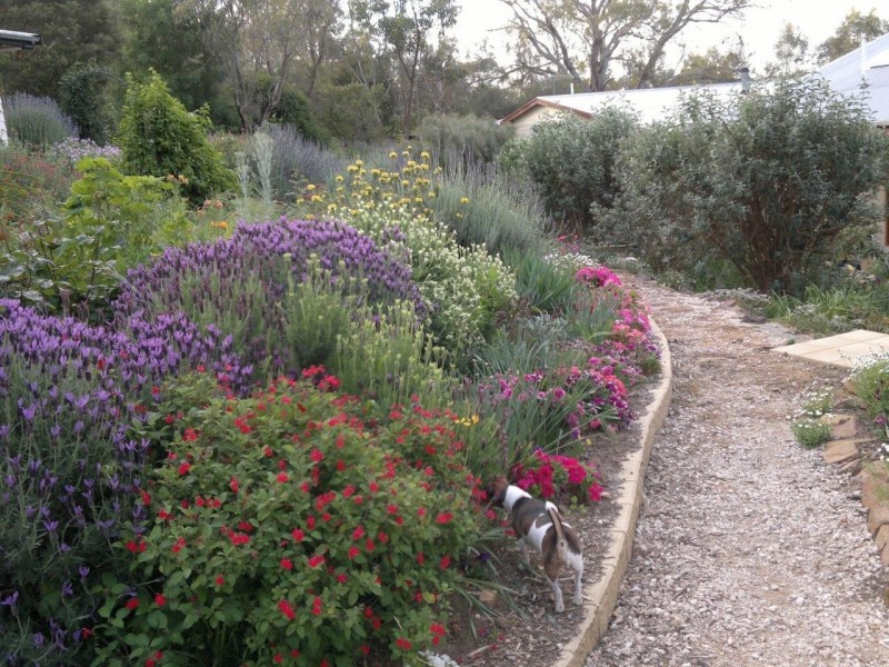 155 Petwood Road, Mount Barker SA 5251