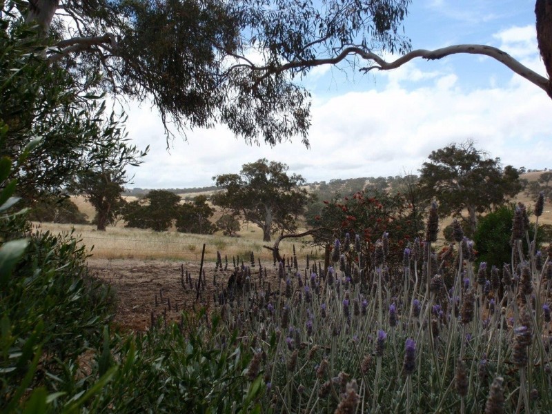 155 Petwood Road, Mount Barker SA 5251