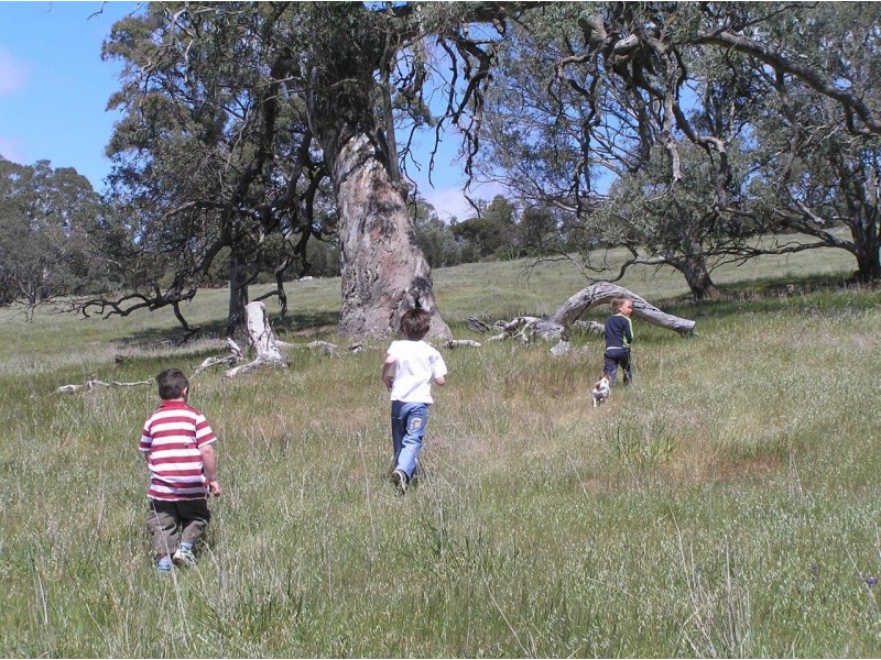 155 Petwood Road, Mount Barker SA 5251