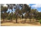 285 Burnside Road, Strathalbyn SA 5255