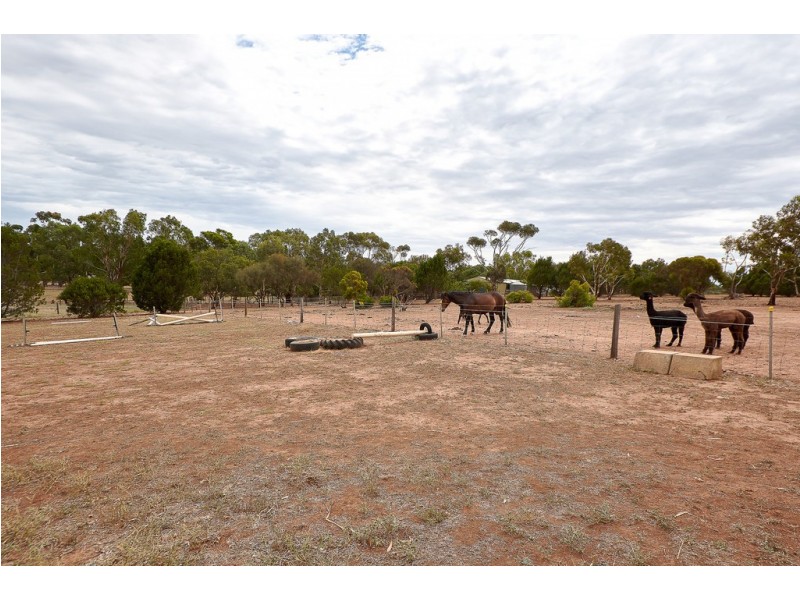 18 Meyers Road, Strathalbyn SA 5255