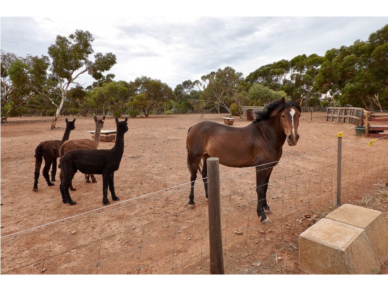 18 Meyers Road, Strathalbyn SA 5255