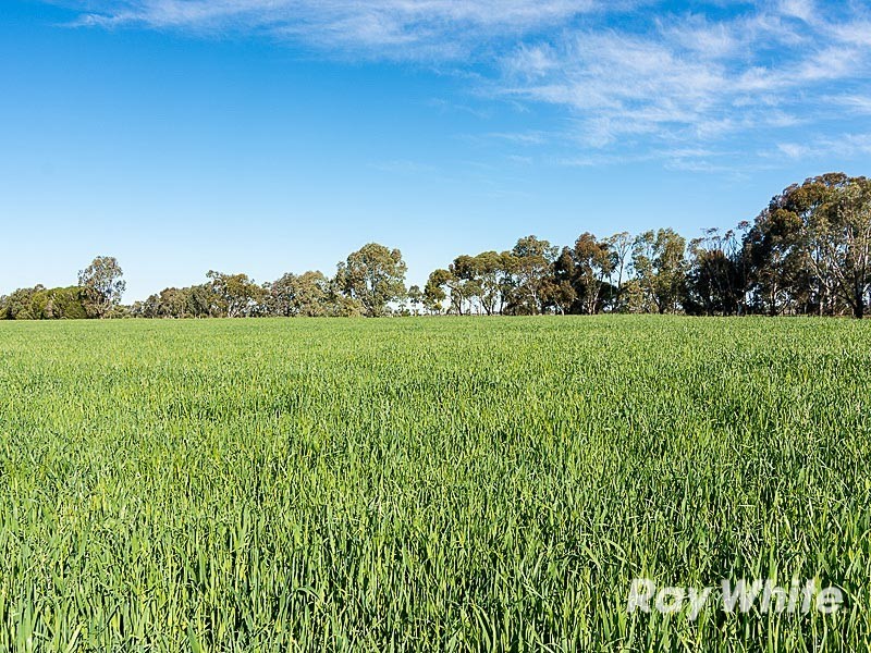106 Angas Plains Road, Strathalbyn SA 5255