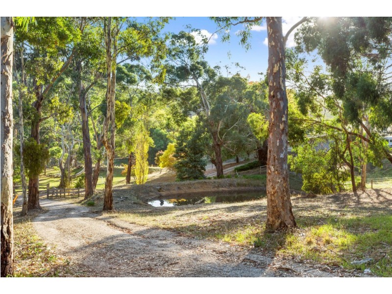 42 Cemetery Road, Scott Creek SA 5153