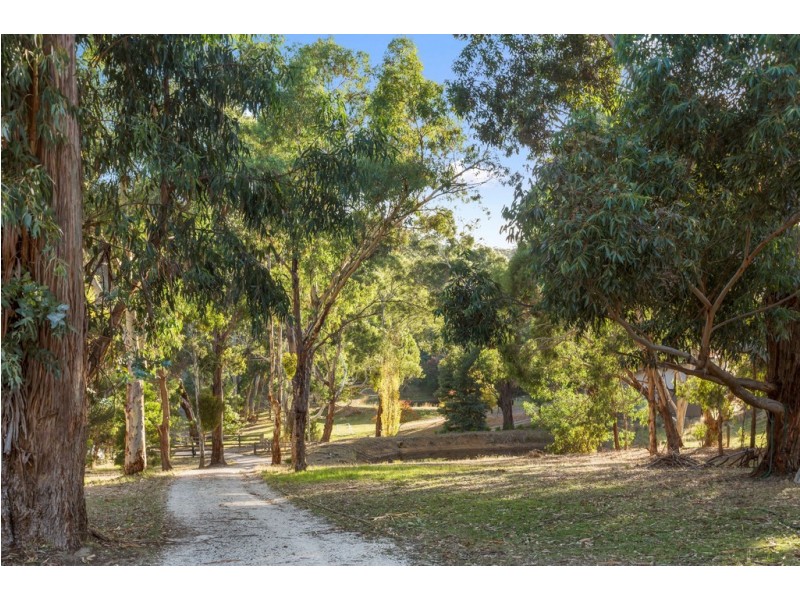 42 Cemetery Road, Scott Creek SA 5153