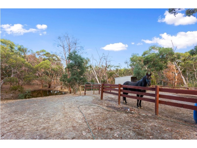 42 Cemetery Road, Scott Creek SA 5153