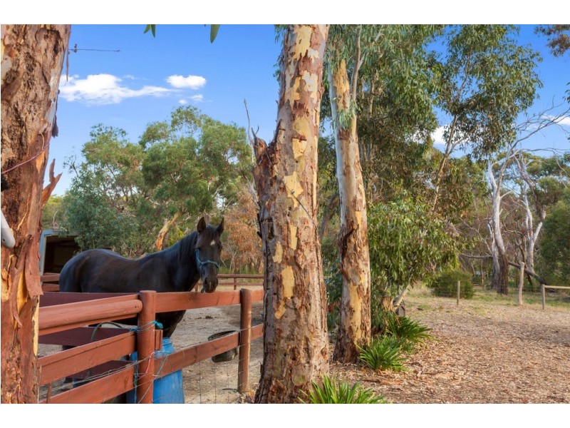 42 Cemetery Road, Scott Creek SA 5153