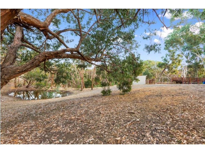 42 Cemetery Road, Scott Creek SA 5153