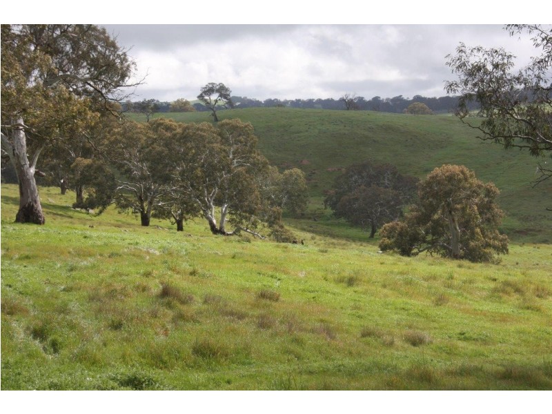 Lot 203 Petwood Road, Nairne SA 5252