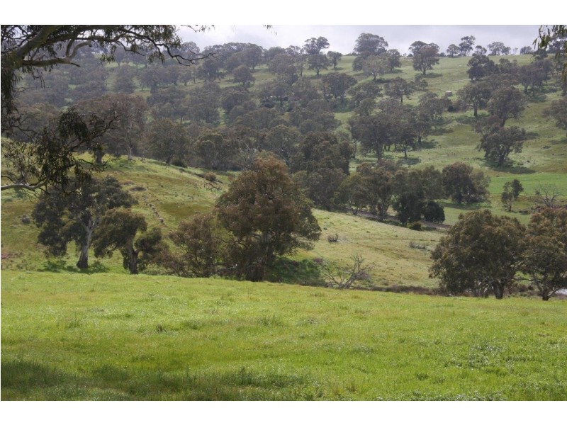 Lot 203 Petwood Road, Nairne SA 5252