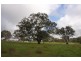 Lot 203 Petwood Road, Nairne SA 5252