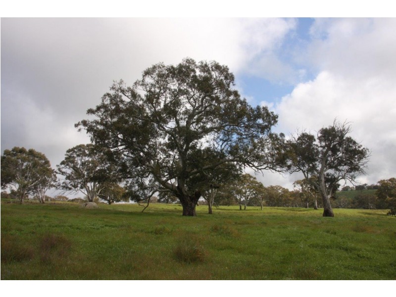 Lot 203 Petwood Road, Nairne SA 5252