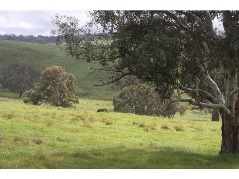 Lot 203 Petwood Road, Nairne SA 5252