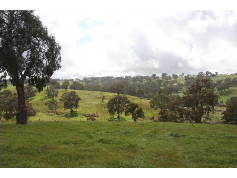 Lot 203 Petwood Road, Nairne SA 5252