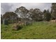Lot 203 Petwood Road, Nairne SA 5252
