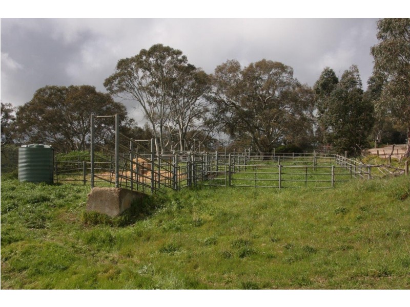 Lot 203 Petwood Road, Nairne SA 5252
