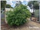 41 Hallett Street, Callington SA 5254